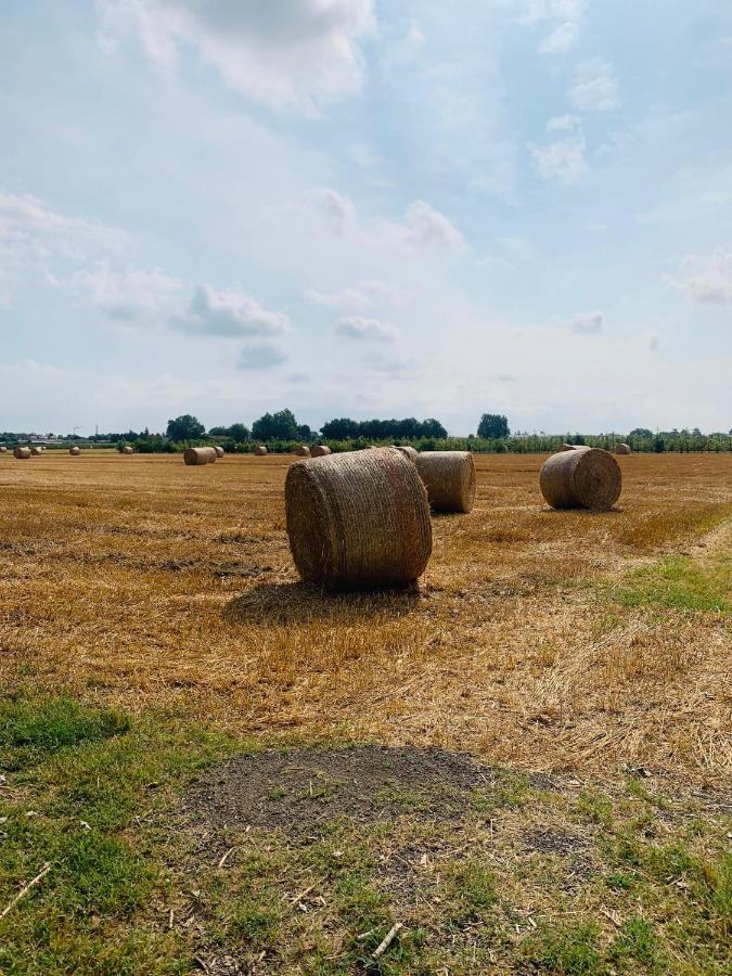 Appartamento Tra Verde E Citta Bologna Exterior foto